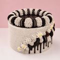 Delicious Oreo Cake