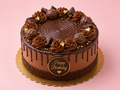 Premium Chocolate Cake